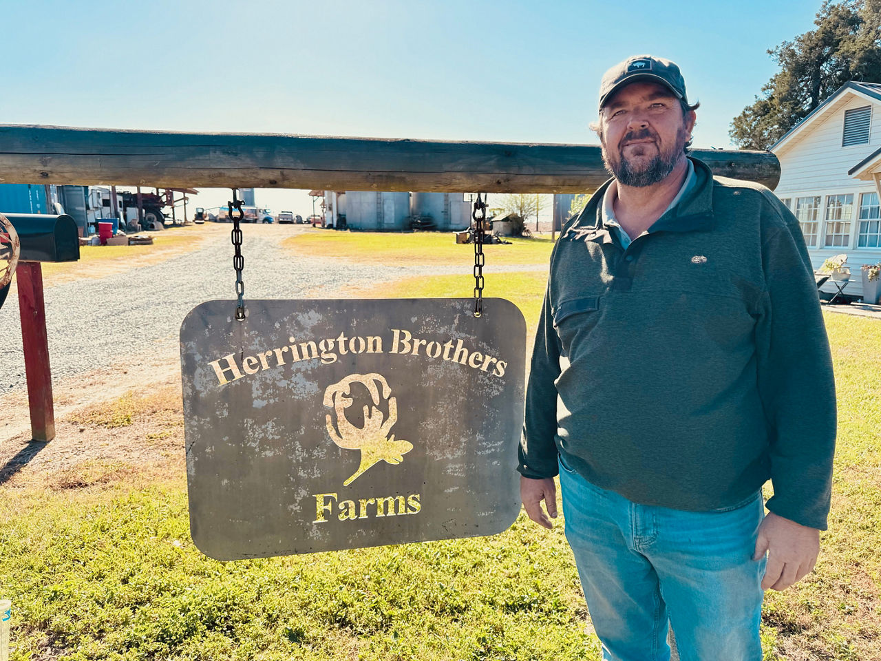 3 men looking at cotton