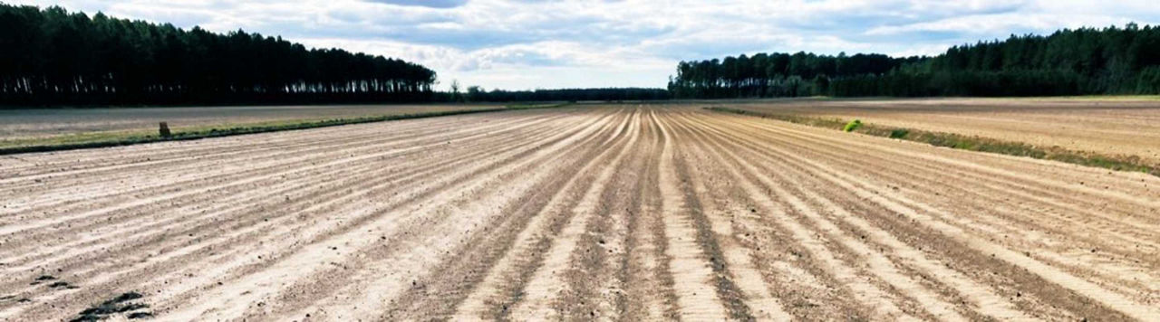 Les semis de maïs ont démarré dans les Landes !