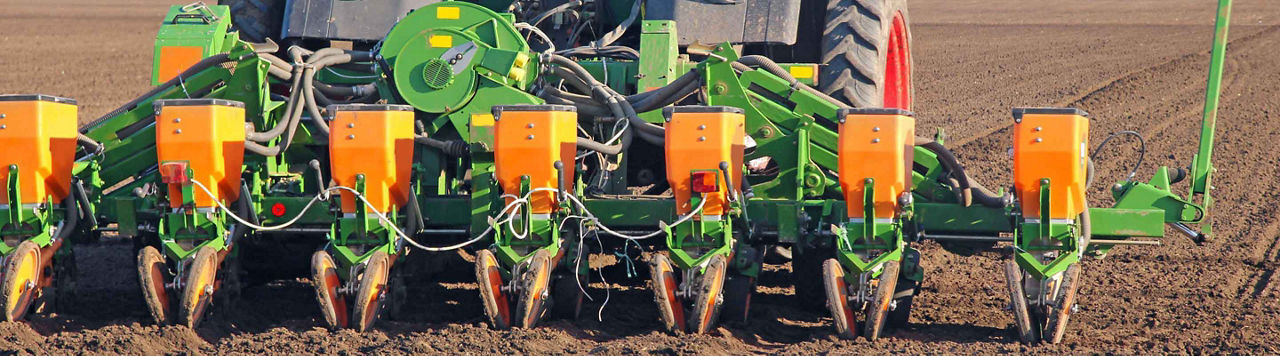 Quand déclencher mes semis de maïs ?