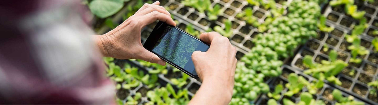 J’évalue mon risque taupin avec l’application Top’Info
