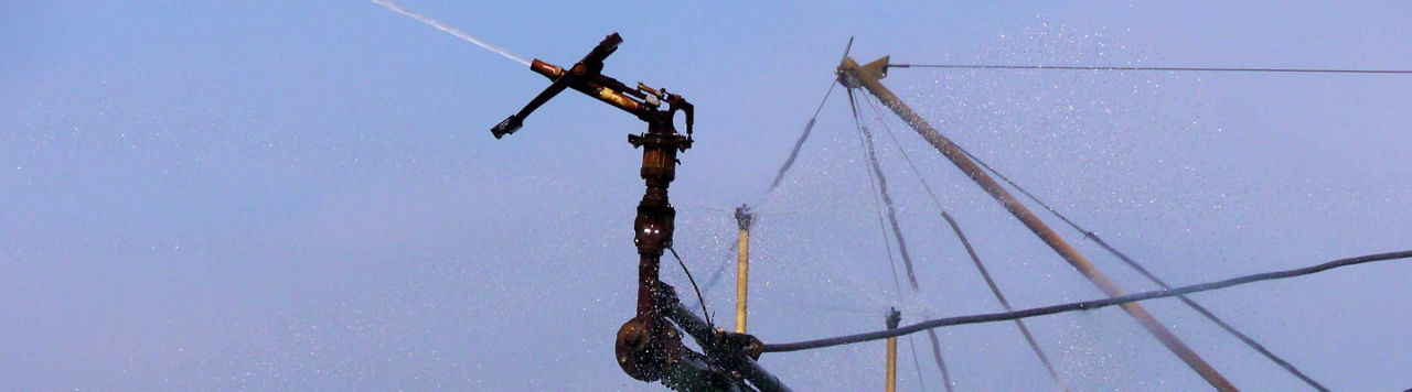 Le maïs valorise très bien la ressource hydrique