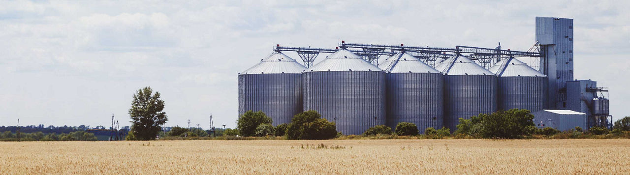 Récolte de céréales 2025 : un rebond spectaculaire pour le blé tendre