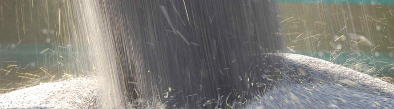 Moissons 2025 : précocité et rebond des rendements