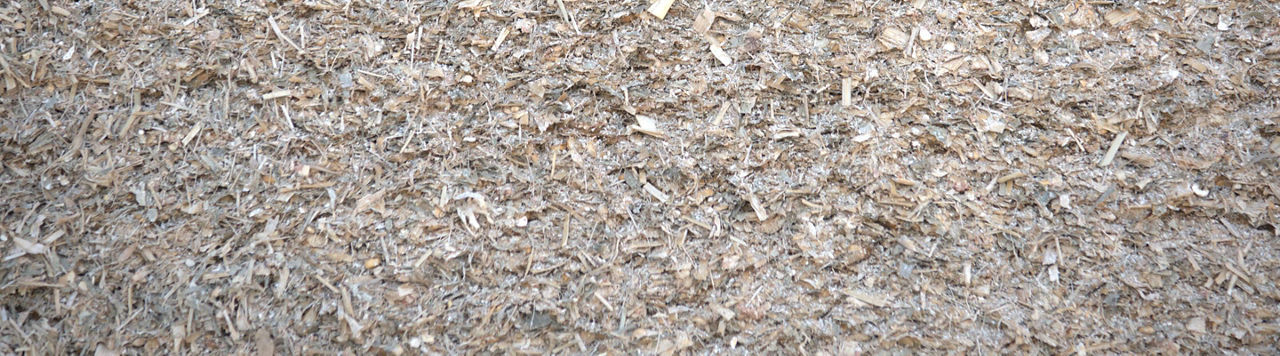 L’Observatoire des mycotoxines, pour évaluer le risque sur mes ensilages de maïs