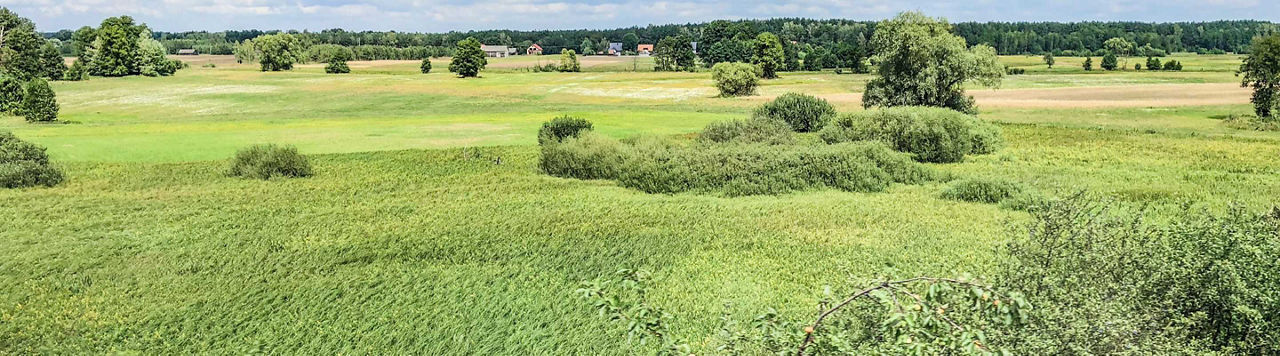 Où dois-je débroussailler ?