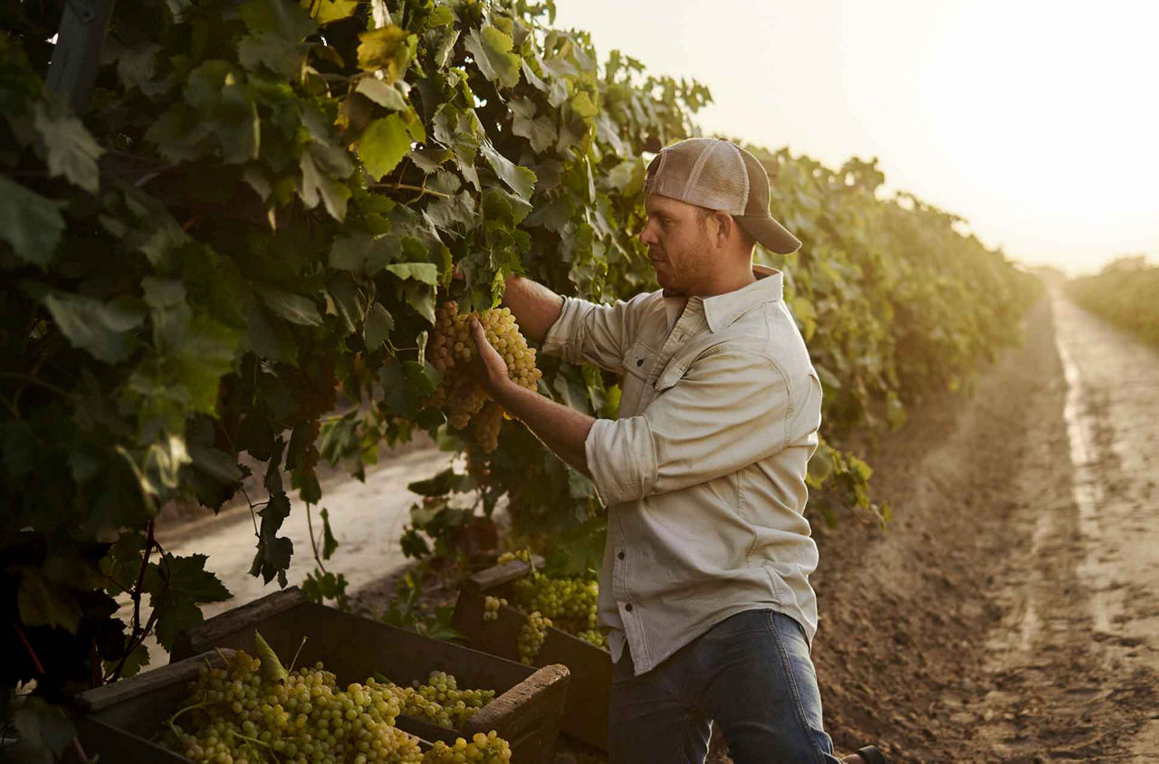 Pioneer® 100 Apparel