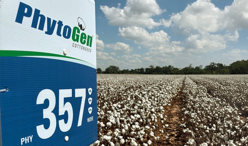 PHY 357 field sign