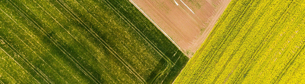 Registre phyto numérique : ce que change vraiment le report à 2027 