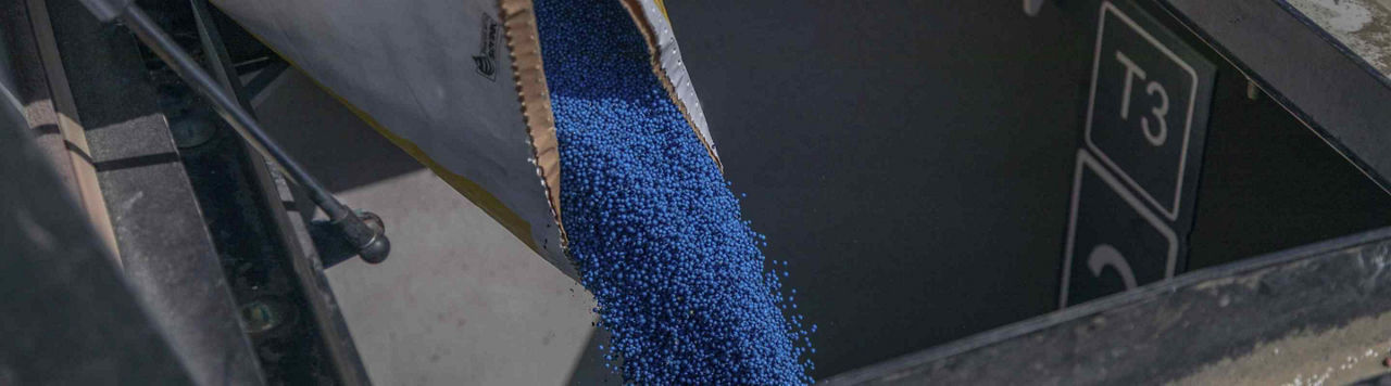 Plongée dans les coulisses de la production des semences Pioneer chez Corteva à Aussonne