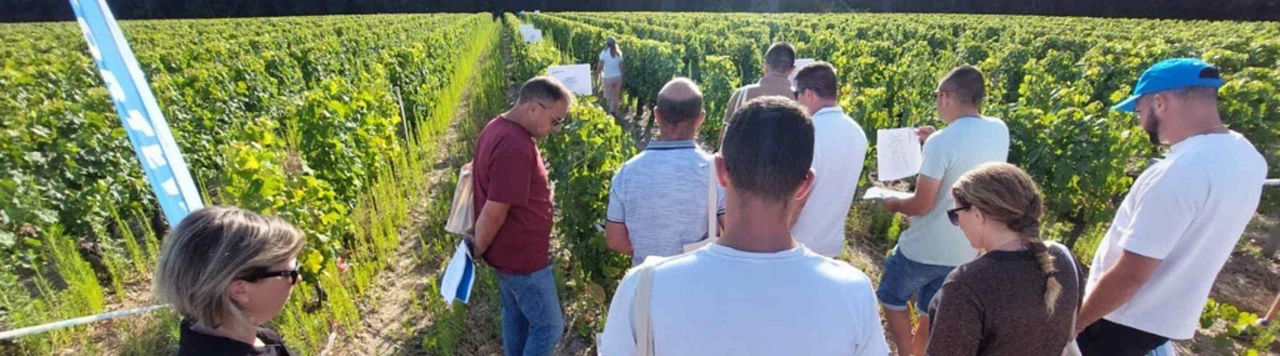 Plus de 200 professionnels présents aux Estivales ! 
