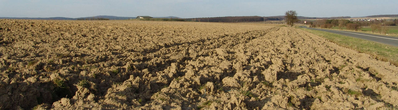 Prendre soin du tournesol, dès la préparation du semis