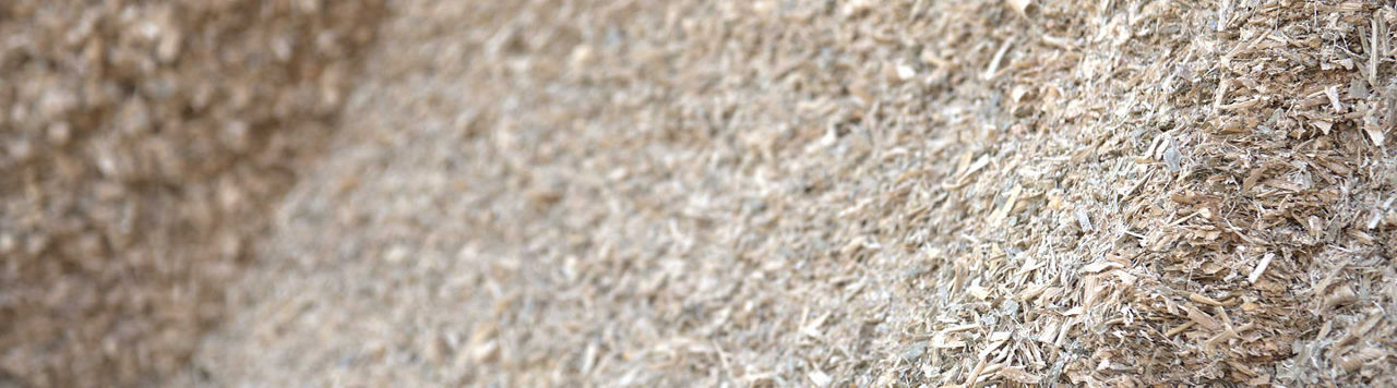 Mycotoxines : une campagne 2025 bien engagée, mais la vigilance reste de mise