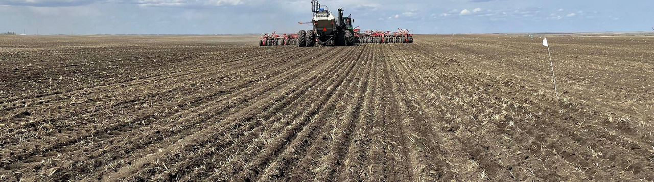 Quels sont les résultats de la protection insecticide de semences ?