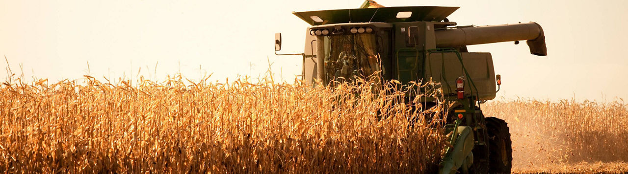 La région Centre boucle la moisson des céréales