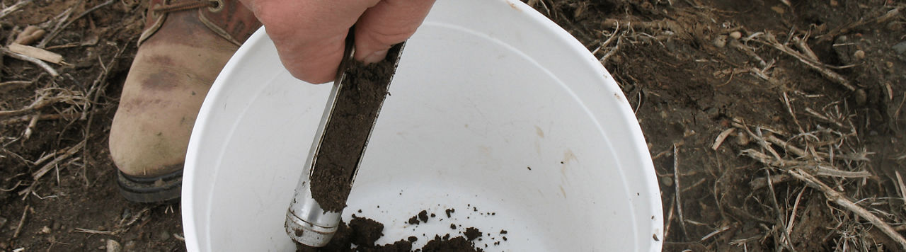 Reliquats azotés et pilotage de la fertilisation azotée en sortie d'hiver 