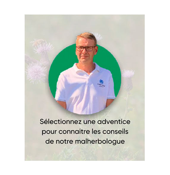 FLOREXEPERT : Vous saurez tout sur les adventices !