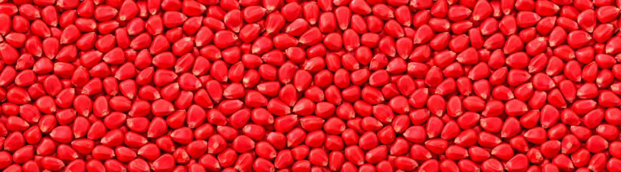 LumiGEN Premium Scan