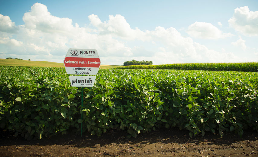 Campos de soja con carteles Pioneer