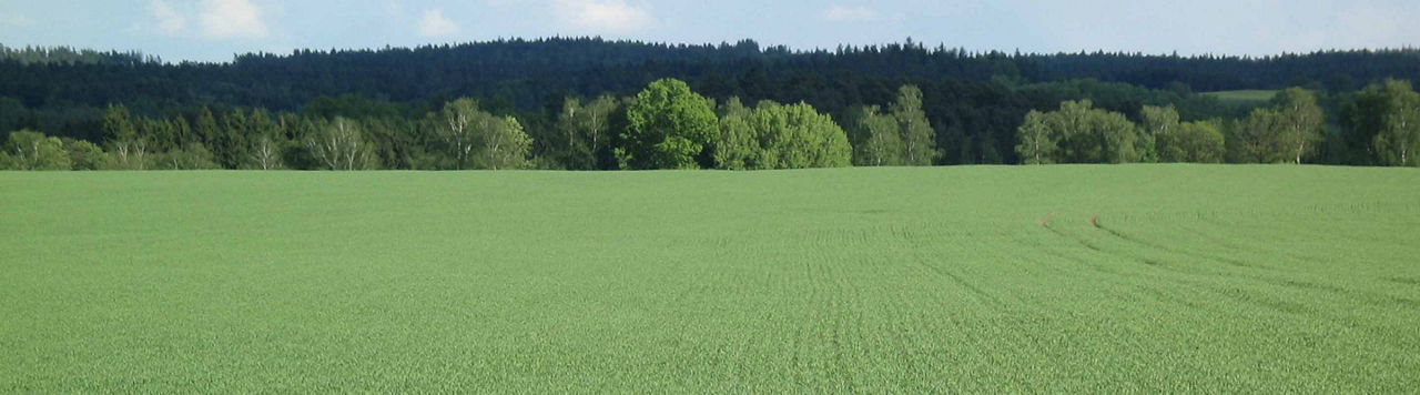 Utrisha N et BlueN, les utilisateurs en parlent le mieux