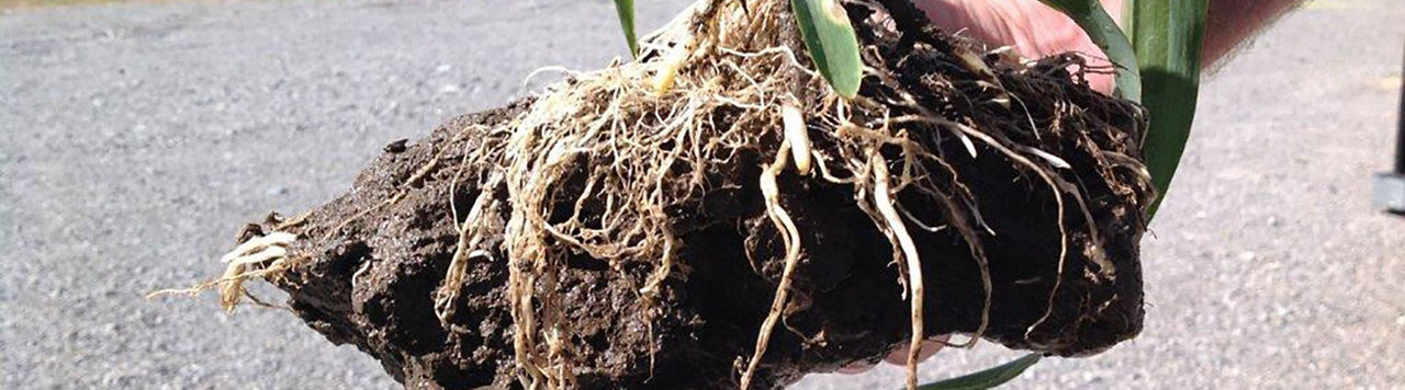 Vigilance sur la compaction des sols !