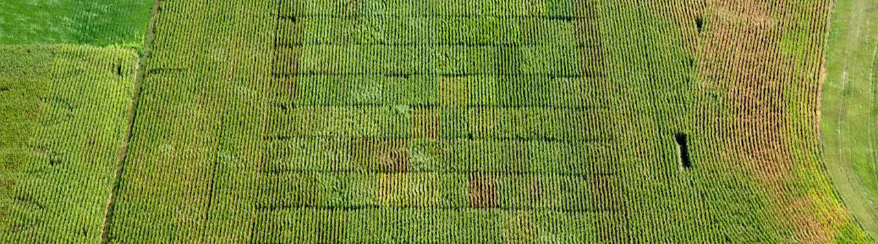 Vincent, au cœur de l’expérimentation pour une agriculture plus durable