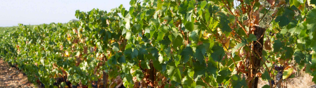 Vérifiez vos connaissances sur les bonnes pratiques de mélange !