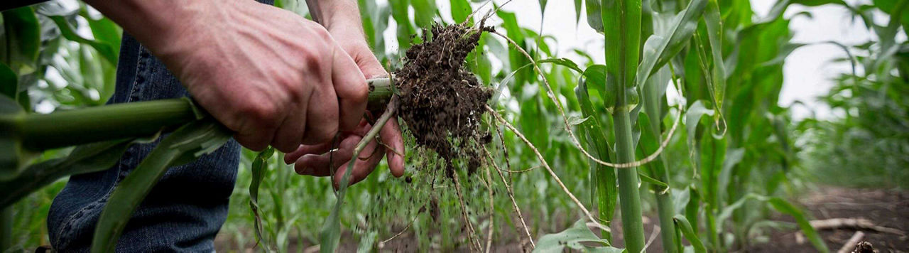 Fertilisation : bien calculer ma dose totale à apporter