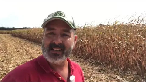 Sécuriser ma marge avec le maïs Sem’Expert Dry