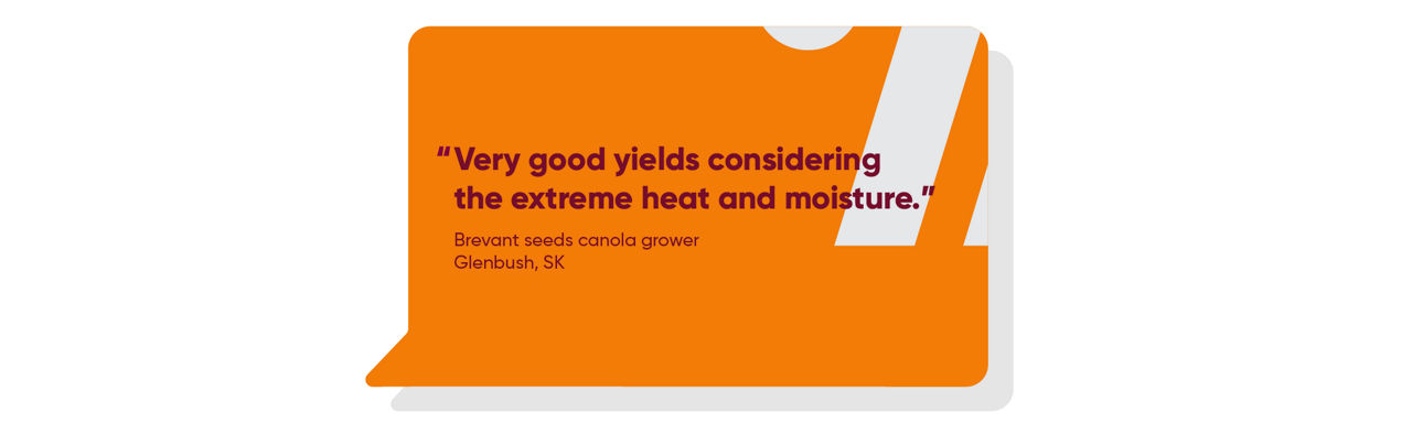Very good yields considering the extreme heat and moisture
