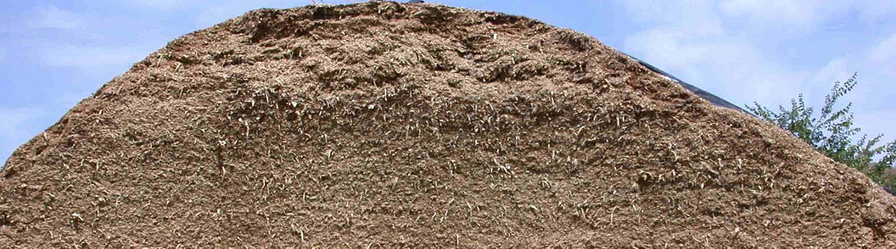 Comment obtenir un ensilage de qualité dès dix jours ?