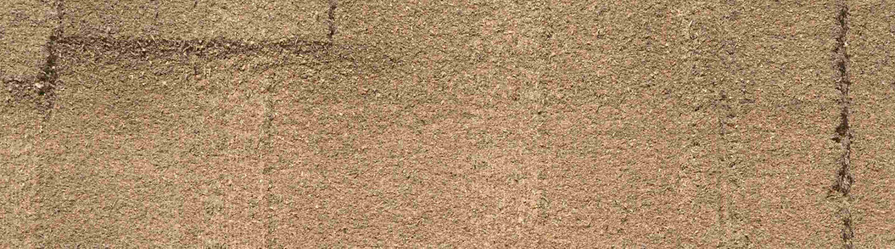 Comment optimiser la complémentarité entre les ensilages d’herbe et de maïs ?