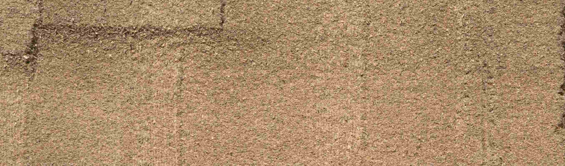 Comment optimiser la complémentarité entre les ensilages d’herbe et de maïs ?