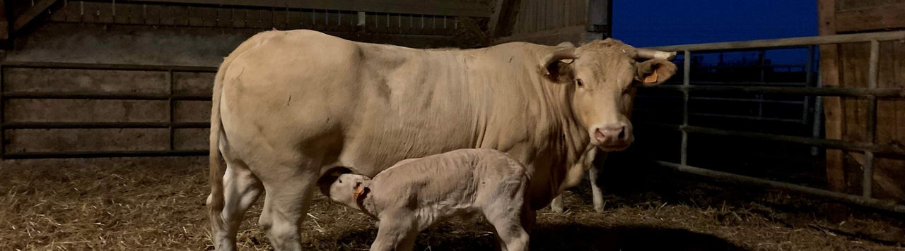 Est-ce que je peux réduire ou même éviter les compléments ?