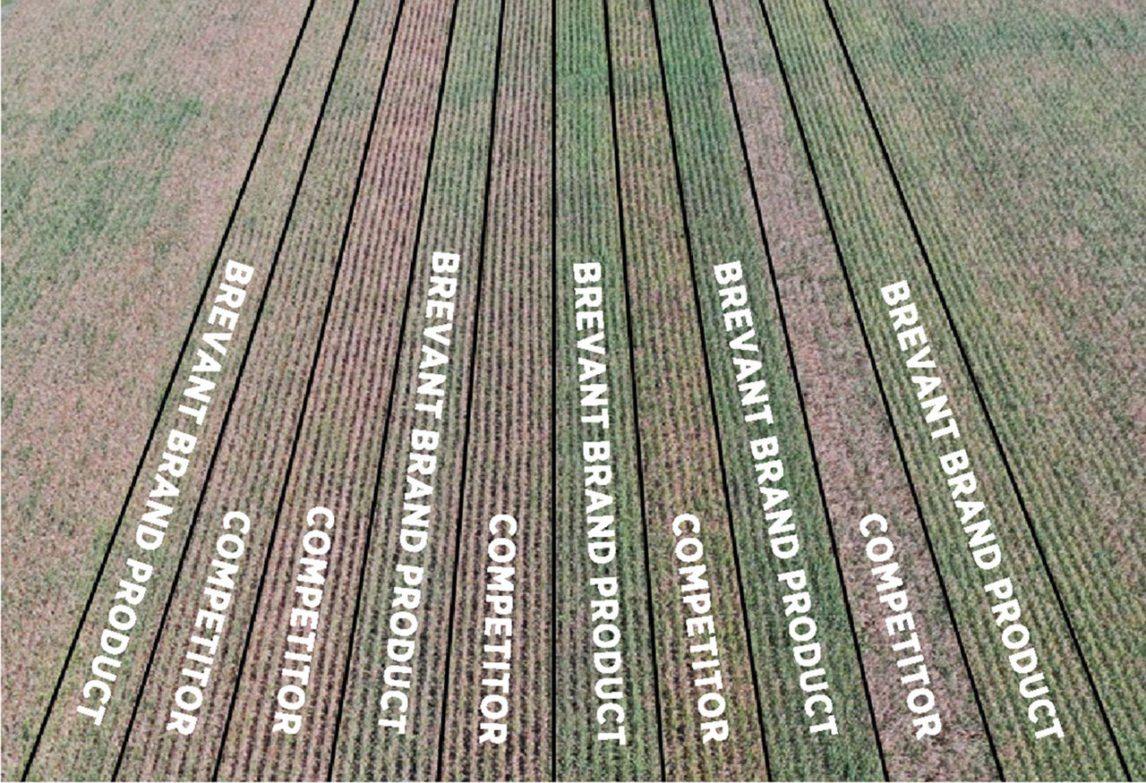 Side by side field comparisons