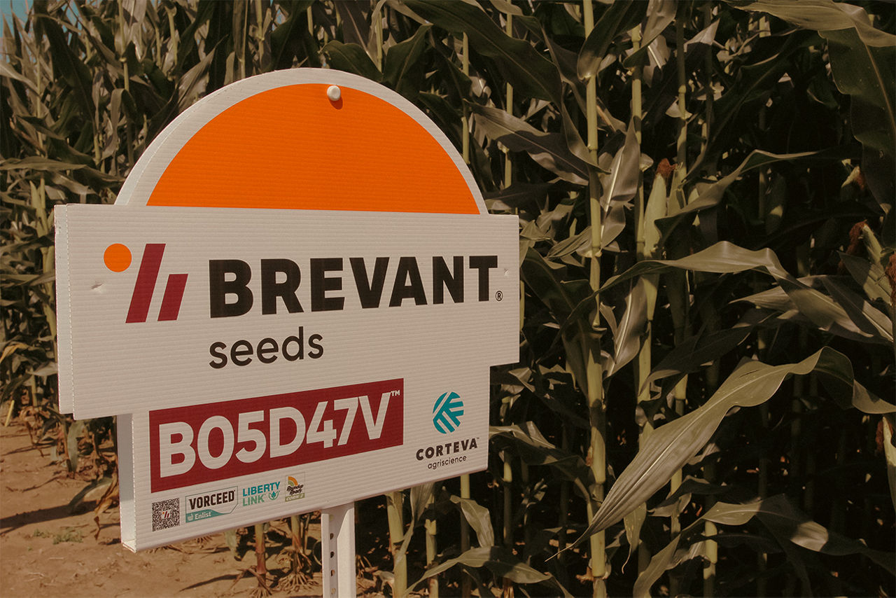 corn variety field sign