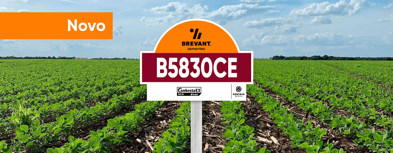 placa_soja_B5830CE