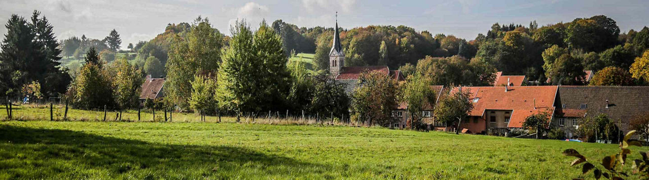 Quelles sont les clefs pour optimiser la gestion de l'herbe ?