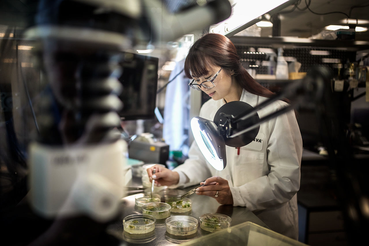 researcher in a lab