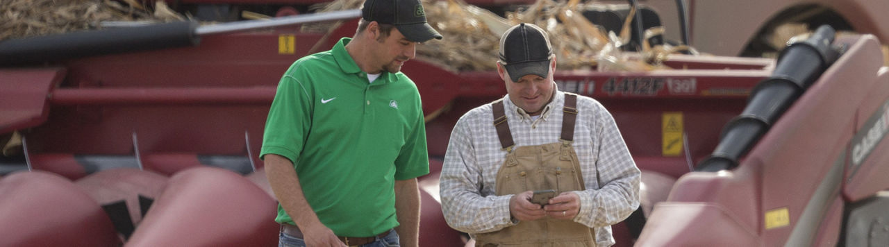 Pioneer team, corn harvest