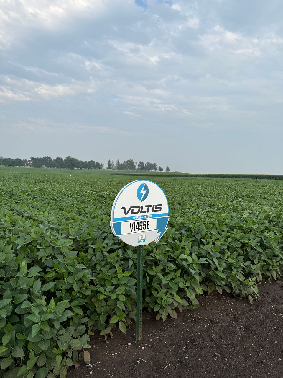 Voltiseed