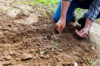 Persona cultivando sobre la tierra.