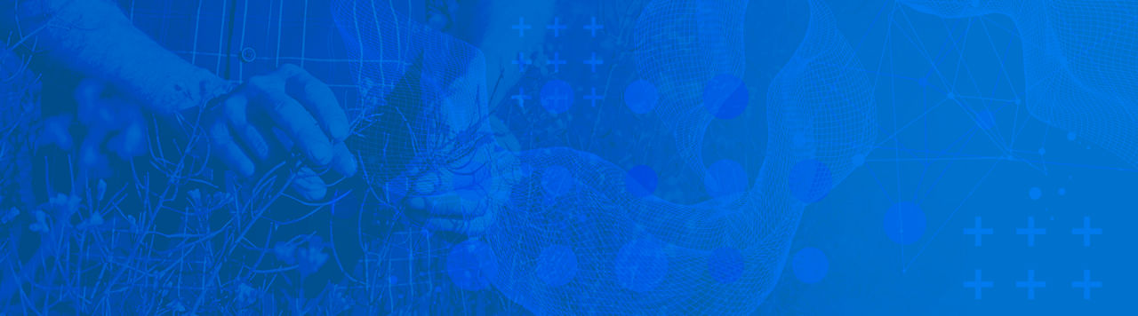 blue background flex+