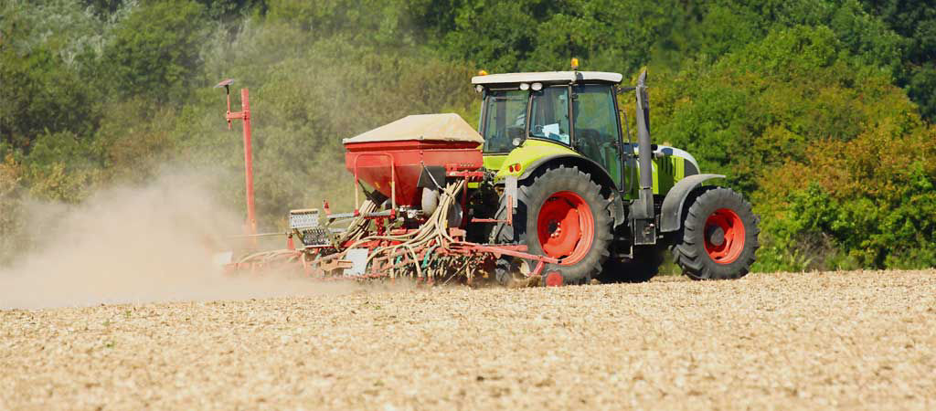 Date et pratique de semis