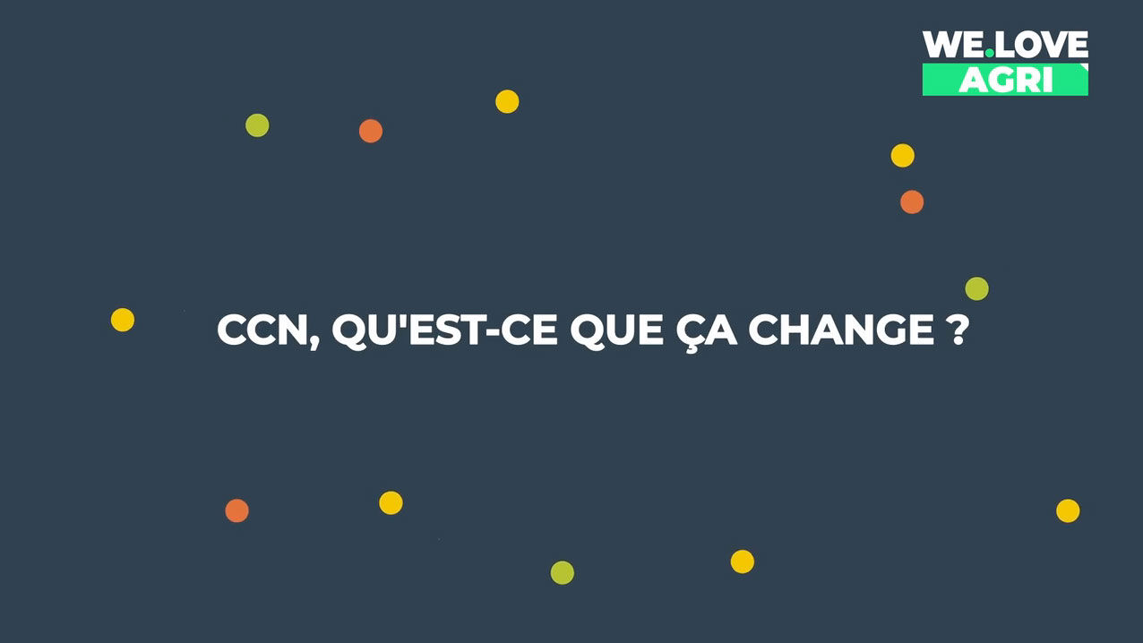 La CCN qu'est-ce que ça change ?