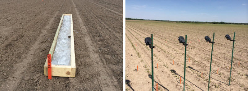 Photos: Forms for holding ice over the row (left). Time-lapse camera used to monitor corn emergence (right).