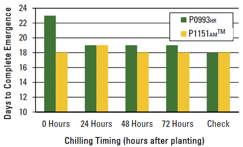 Chart: Effect of chilling timing on days to complete emergence.