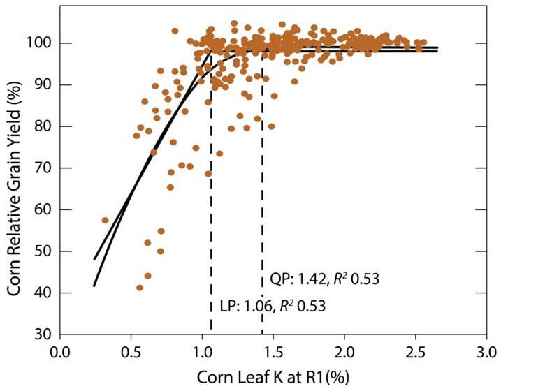 Relationship between yield response and K in corn leaves at the R1 stage.