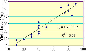 Yield loss for corn when frost damage occurs at the 7 to 10 leaf collar stage of maturity (Carter, 1995).