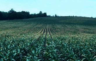 Cold air flows into low areas of hilly fields, resulting in differential crop damage within the field.