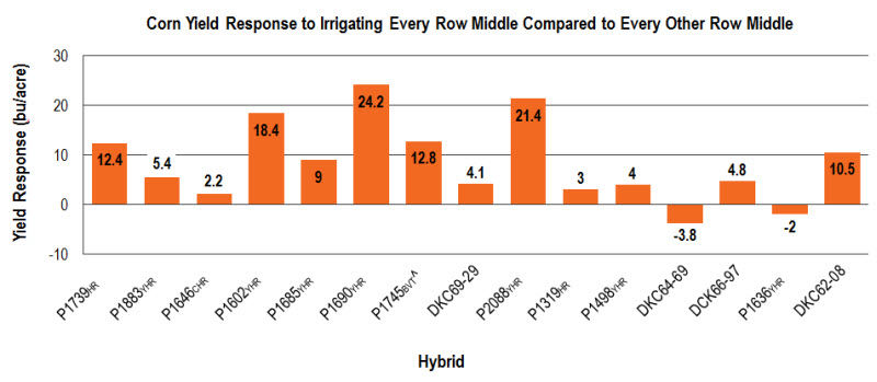 Chart: Corn Yield Response to Irrigating Every Row Middle Compared to Every Other Row Middle